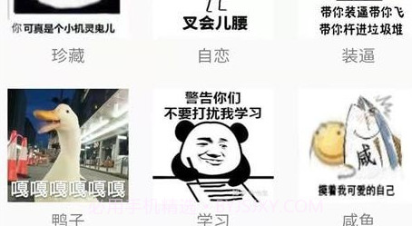 动图之家v22.05.14截图