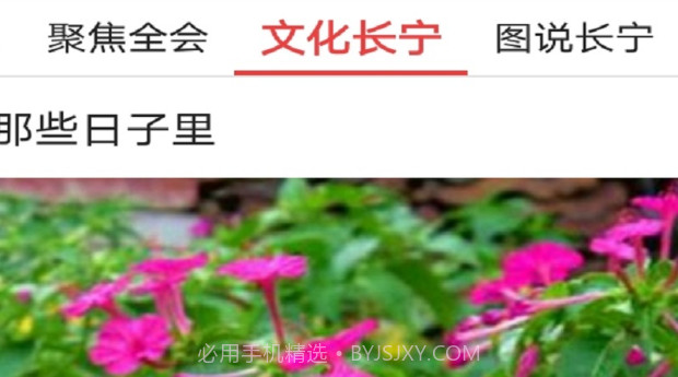 掌上长宁v4.3.13截图