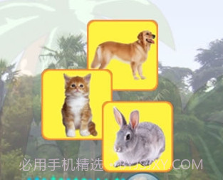 爱动物v5.2.8截图