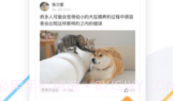 K9犬网(k9犬网自由交易)V1.4 安卓最新版V1.8截图