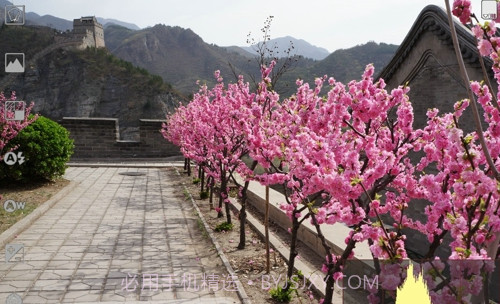 ProCapturev1.9.4.6截图