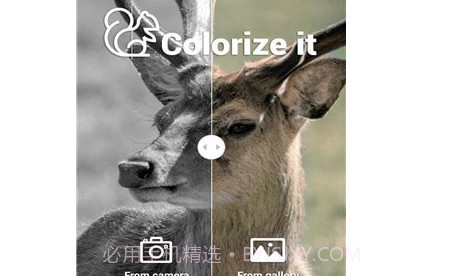 Colorize Itv1.1.9截图