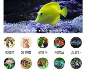 万物识别v2.1.56.6截图