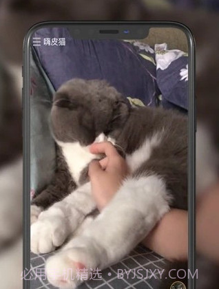 嗨皮猫短视频v1.0.14截图