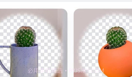快咔设计v1.0.10截图