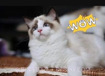 抖微视频剪辑v1.0.14截图