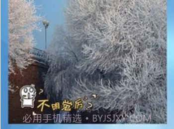 墨迹相机v2.6截图