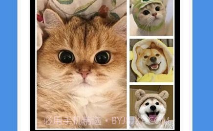 一步证件照v1.8截图