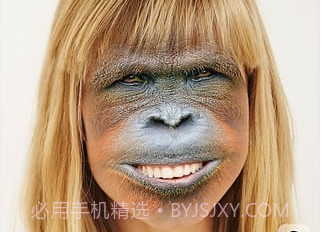 faceswap汉化版v2.1.9截图