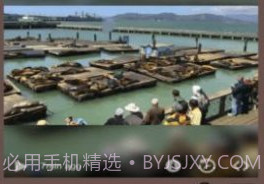 Live Camera Viewer软件v1.7截图
