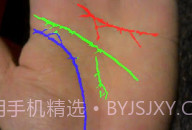免费拍照看手相算命V1.0.8截图
