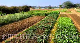 坤典智慧农场v3.0.11截图