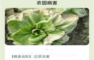 田园手册v1.0.9截图