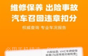 车况查询v1.3.15截图