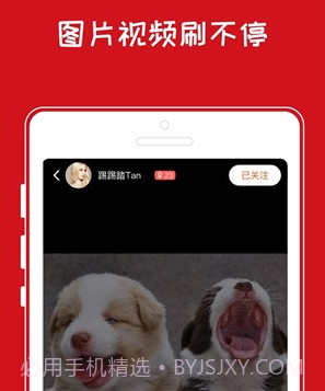 青岛小奇v1.0.10截图