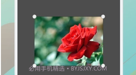 树林记忆v1.12截图