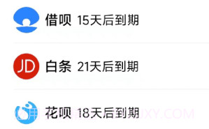叮叮记账本v1.2.11截图