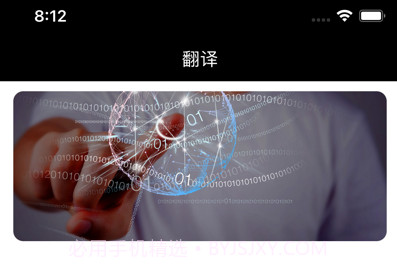 语通翻译助手v1.9截图