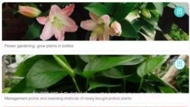 花草小阁密码v1.8截图