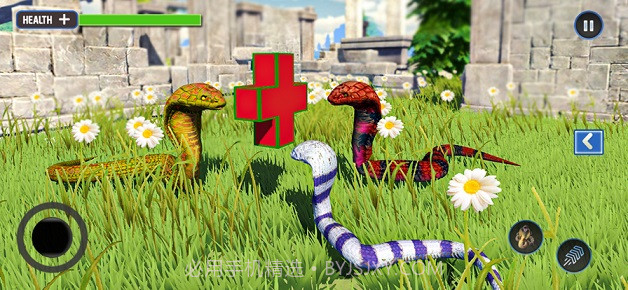 野生生命蛇模拟器v1.0.9截图