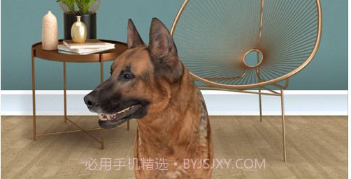 我的狗v1.10截图