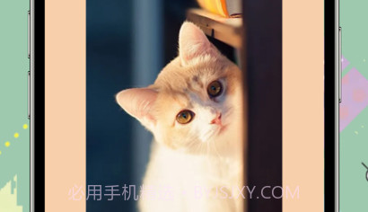 GIF快速制作斗图动图神器v1.10截图