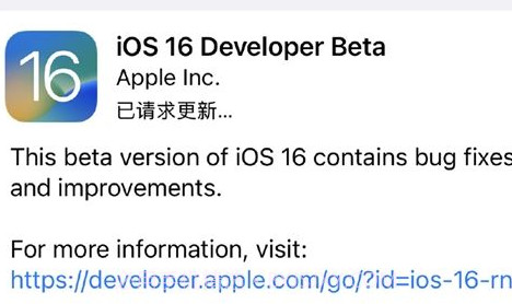 ios16描述文件v1.21截图