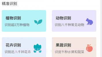 动物识别V2.0.11截图