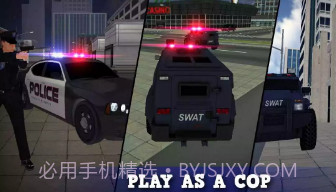 警察vs小偷模拟器v1.11截图