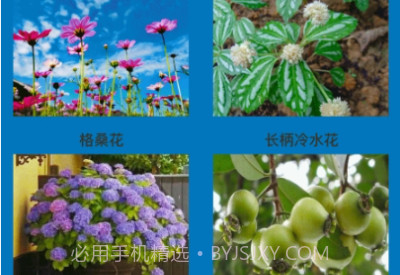 神农花草园艺v1.0.7截图