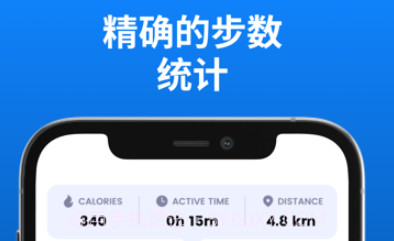 计步器v1.10截图