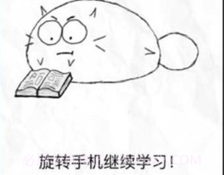 Fatty Catios版v1.9截图