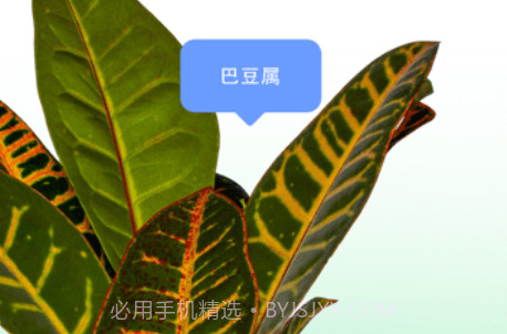 爱自然IDv5.8截图