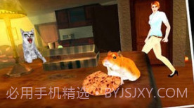 疯狂地鼠3d模拟v1.0.8截图