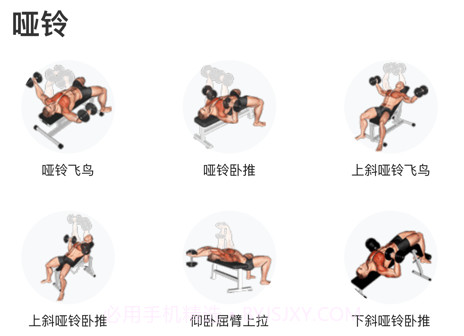 立训v1.13截图
