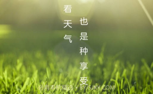 微鲤天气v1.0.1v1.0.10截图