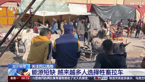 巴豆侠TV96.6.10截图