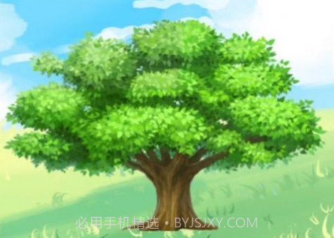 舜康茶园v1.0.6截图