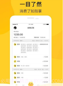 金猪记账v1.0.11截图