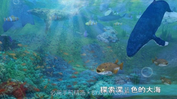 全民养鲨鱼v1.0.12截图