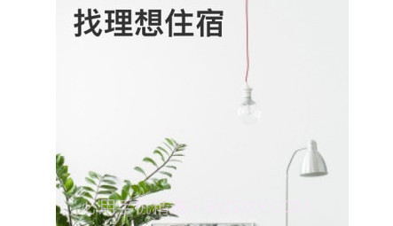 Booking全球酒店预定v28.9.0.12截图