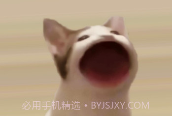 PopCat啵嘴猫v3.9截图