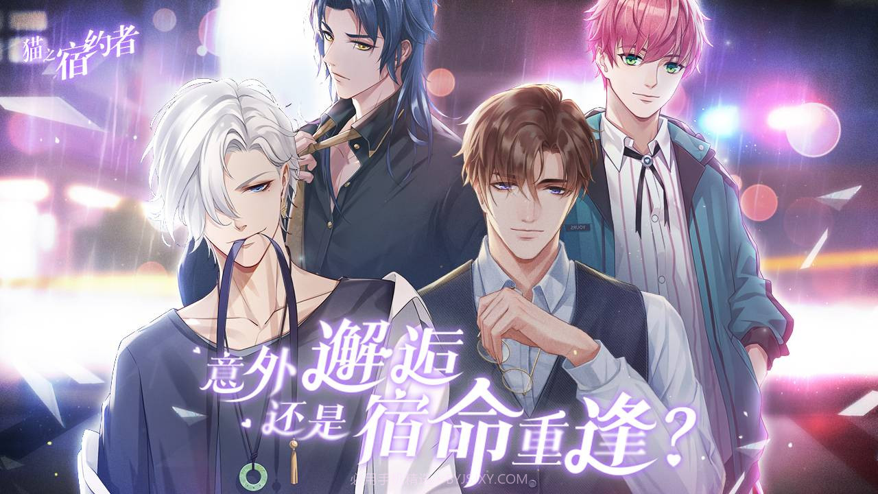 猫之宿约者v1.102截图
