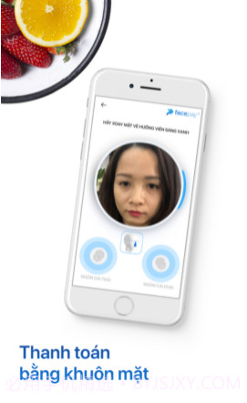 Facepayv1.17截图