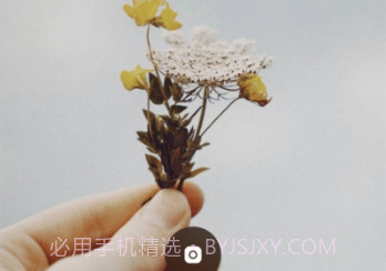 inch相机iOS版v1.6.9截图