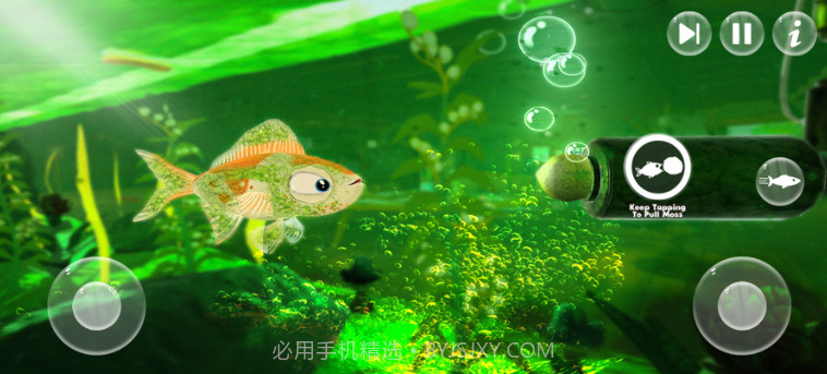 鱼水族馆生活模拟器v1.0.8截图
