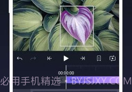 Alight Motion无水印版V4.0.9截图