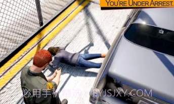 边防警察西姆v1.7截图