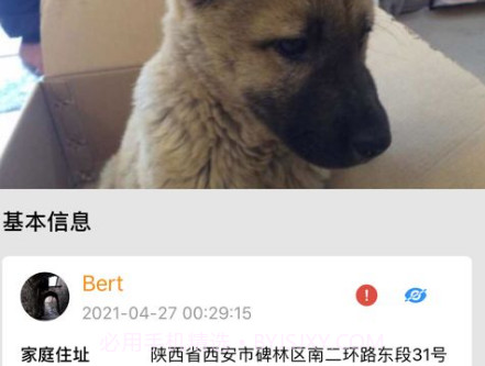 宠爱社iosV0.0.5截图