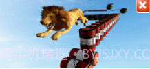 动物不可能的跟踪奔跑v1.9截图